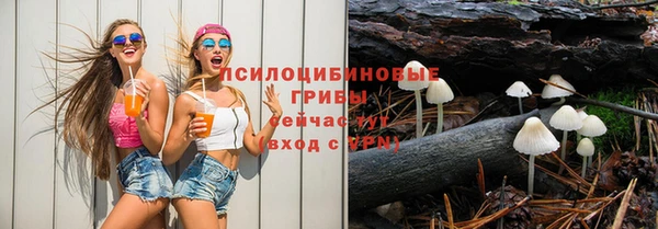 спиды Гусь-Хрустальный